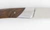 Compagnon Noyer 2